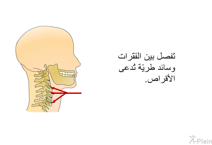 تَفصل بين الفَقَرات وسائد طريّة تُدعى الأقراص.