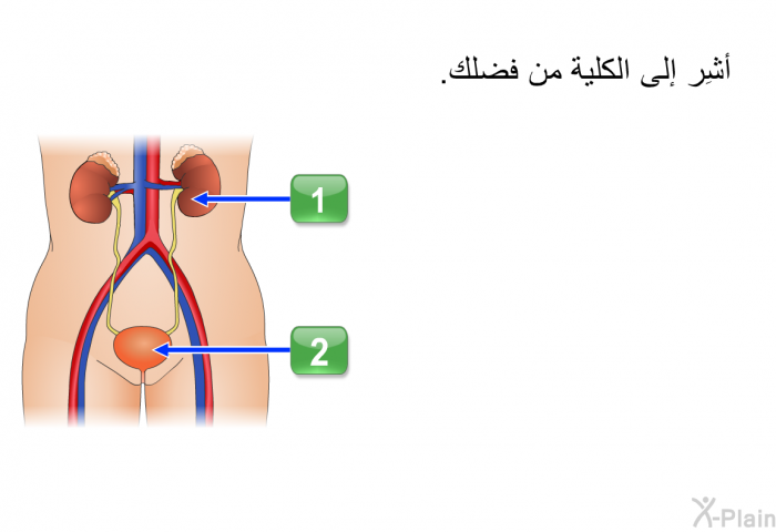 أشِر إلى الكلية من فضلك.