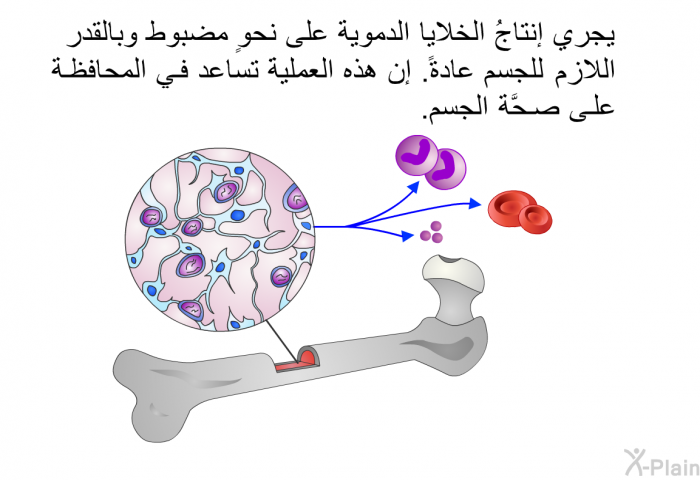 يجري إنتاجُ الخلايا الدموية على نحوٍ مضبوط وبالقدر اللازم للجسم عادةً. إن هذه العمليةَ تساعد في المحافظة على صحَّة الجسم.