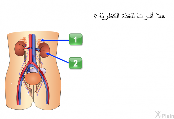 هلا أشرتَ للغدّة الكظريّة؟