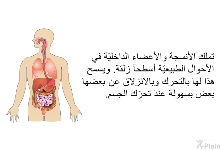 تملك الأنسجة والأعضاء الداخليّة في الأحوال الطبيعيّة أسطحاً زلقة. ويسمح هذا لها بالتحرك وبالانزلاق عن بعضها بعض بسهولة عندَ تحرّك الجسم.