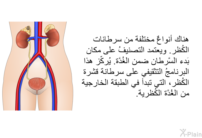 هناك أنواعٌ مختلفة من سرطانات الكُظر. ويعتمد التصنيفُ على مكان بَدء السَّرطان ضمن الغُدَّة. يُركِّز هذا البرنامجُ التثقيفي على سرطانة قشرة الكُظر، التي تبدأ في الطبقة الخارجية من الغُدَّة الكُظرية.