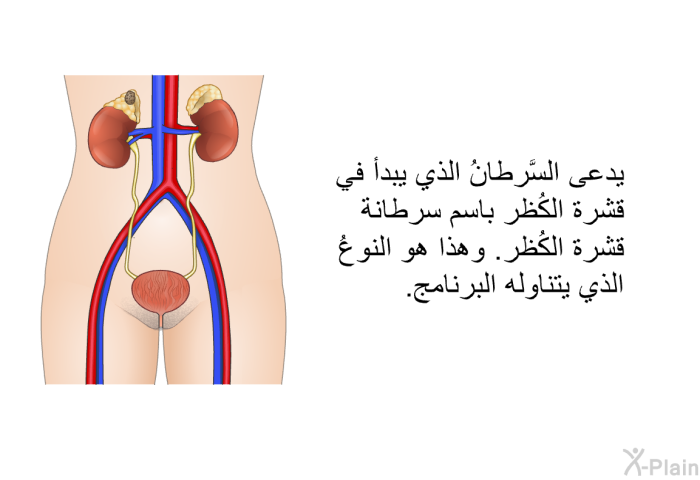 يدعى السَّرطانُ الذي يبدأ في قشرة الكُظر باسم سرطانة قشرة الكُظر. وهذا هو النوعُ الذي تتناوله المعلومات الصحية.