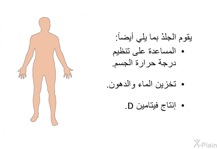يقوم الجلدُ بما يلي أيضاً:  المساعدة على تنظيم درجة حرارة الجسم. تخزين الماء والدهون. إنتاج فيتامين D.