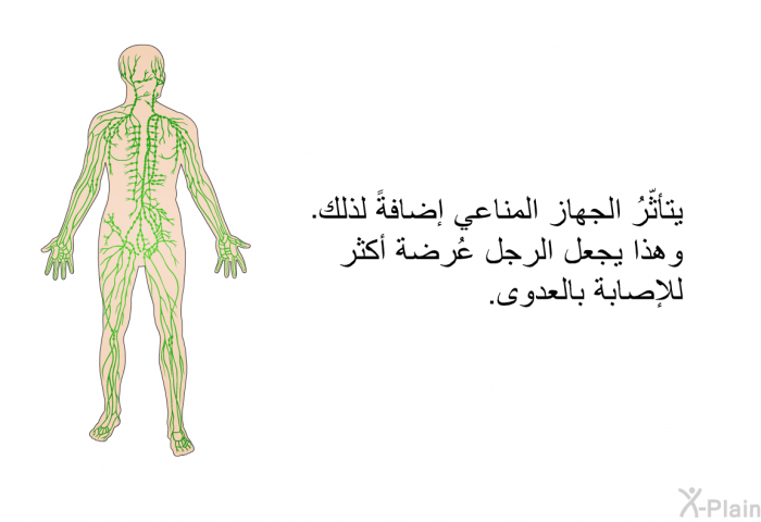 يتأثّرُ الجهاز المناعي إضافةً لذلك. وهذا يجعل الرجل عُرضة أكثر للإصابة بالعدوى.