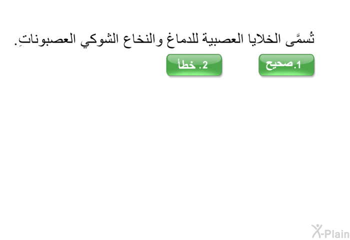 تُسمَّى الخلايا العصبية للدماغ والنخاع الشوكي العصبوناتِ.