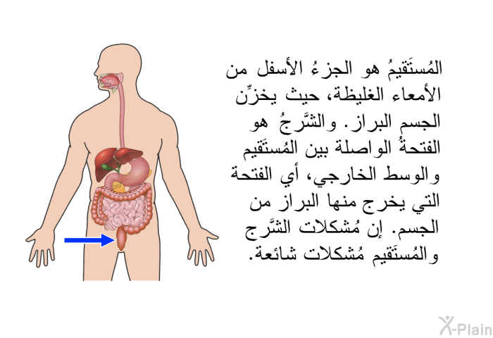 المُستَقيمُ هو الجزءُ الأسفل من الأمعاء الغليظة، حيث يخزِّن الجسم البِراز. والشَّرجُ هو الفتحةُ الواصلة بين المُستَقيم والوسط الخارجي، أي الفتحة التي يخرج منها البِراز من الجسم. إن مُشكلات الشَّرج والمُستَقيم مُشكلات شائعة.
