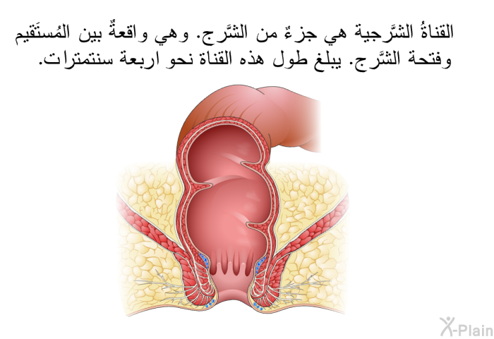 القناةُ الشَّرجية هي جزءٌ من الشَّرج. وهي واقعةٌ بين المُستَقيم وفتحة الشَّرج. يبلغ طول هذه القناة نحو اربعة سنتمترات.