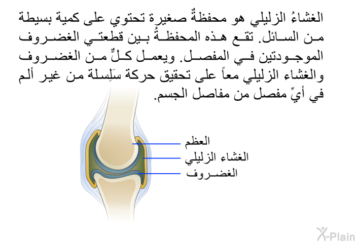 الغشاءُ الزليلي هو محفظةٌ صغيرة تحتوي على كمية بسيطة من السائل. تقع هذه المحفظةُ بين قطعتي الغضروف الموجودتين في المفصل. ويعمل كلٌّ من الغضروف والغشاء الزليلي معاً على تحقيق حركة سَلِسلة من غير ألم في أيِّ مفصل من مفاصل الجسم.