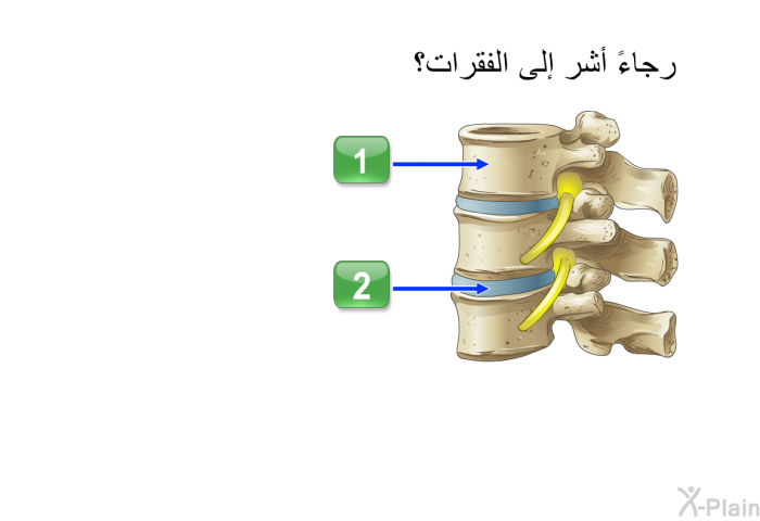 رجاءً أشر إلى الفقرات؟