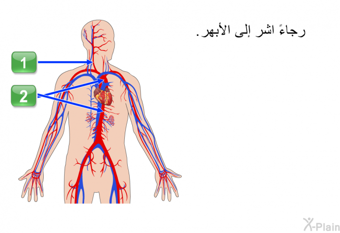 رجاءً اشر إلى الأبهر.