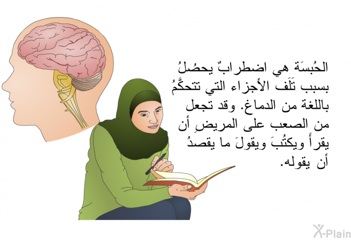 الحُبسَة هي اضطرابٌ يحصُلُ بسبب تَلَف الأجزاء التي تتحكَّمُ باللغة من الدماغ. وقد تجعل من الصعب على المريضِ أن يقرأَ ويكتُبَ ويقولَ ما يقصدُ أن يقولَه.