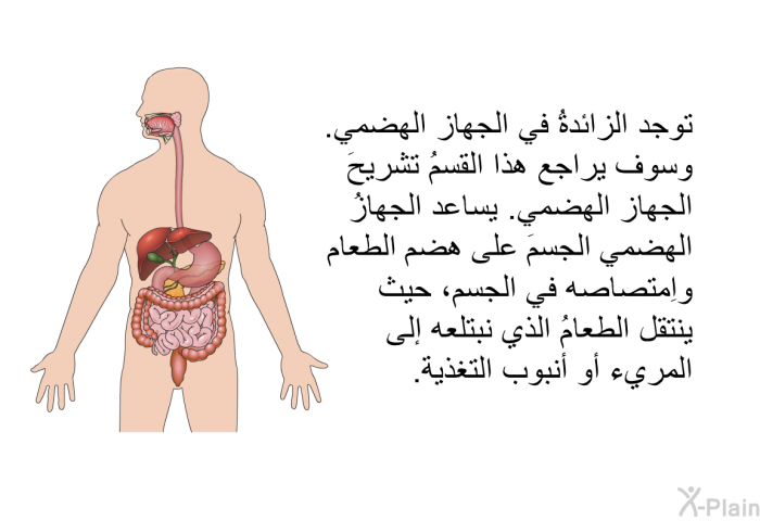 توجد الزائدةُ في الجهاز الهضمي. وسوف يراجع هذا القسمُ تشريحَ الجهاز الهضمي. يساعد الجهازُ الهضمي الجسمَ على هضم الطعام واِمتصاصه في الجسم، حيث ينتقل الطعامُ الذي نبتلعه إلى المريء أو أنبوب التغذية.