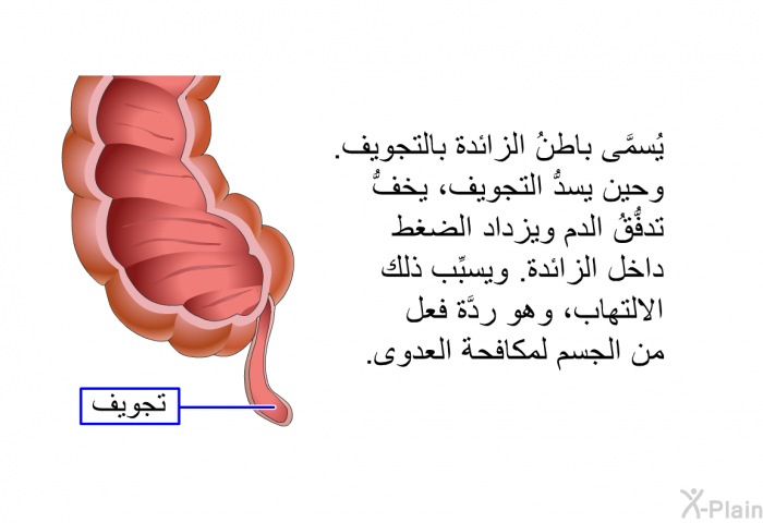 يُسمَّى باطنُ الزائدة بالتجويف. وحين يسدُّ التجويف، يخفُّ تدفُّقُ الدم ويزداد الضغط داخل الزائدة. ويسبِّب ذلك الاِلتهاب، وهو ردَّة فعل من الجسم لمكافحة العدوى.