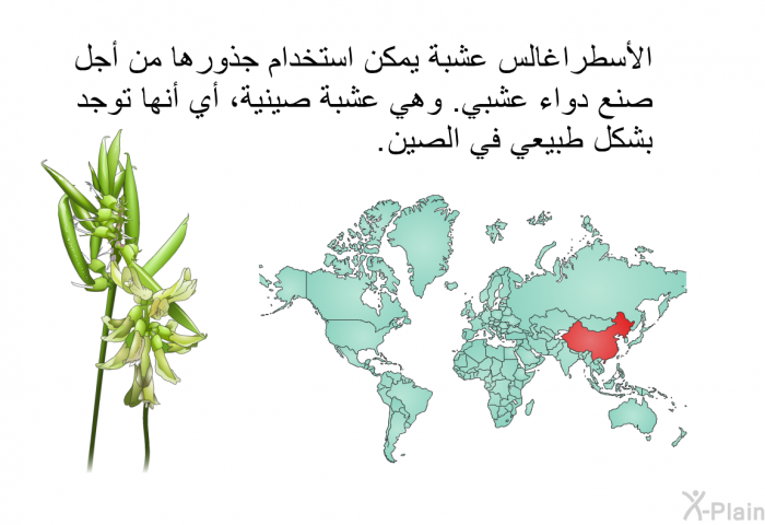 الأسطراغالس عشبة يمكن استخدام جذورها من أجل صنع دواء عشبي. وهي عشبة صينية، أي أنها توجد بشكل طبيعي في الصين.