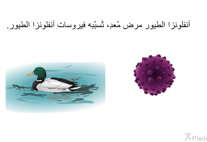 أنفلونزا الطيور مرضٌ مُعدٍ، تُسبِّبه فيروسات أنفلونزا الطيور.