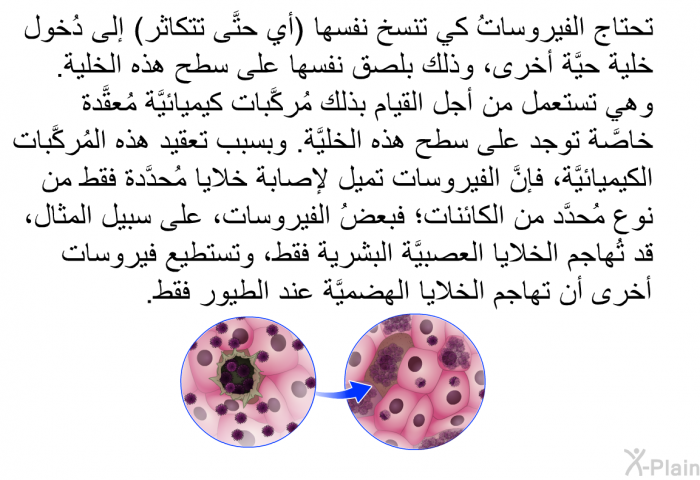 تحتاج الفيروساتُ كي تنسخ نفسها (أي حتَّى تتكاثر) إلى دُخول خلية حيَّة أُخرى، وذلك بلصق نفسها على سطح هذه الخلية. وهي تستعمل من أجل القيام بذلك مُركبات كيميائيَّة مُعقَّدة خاصَّة توجد على سطح هذه الخليَّة. وبسبب تعقيد هذه المُركَّبات الكيميائيَّة، فإنَّ الفيروسات تميل لإصابة خلايا مُحدَّدة فقط من نوع مُحدَّد من الكائنات؛ فبعضُ الفيروسات، على سبيل المثال، قد تُهاجم الخلايا العصبيَّة البشرية فقط، وتستطيع فيروسات أخرى أن تهاجم الخلايا الهضميَّة عند الطيور فقط.