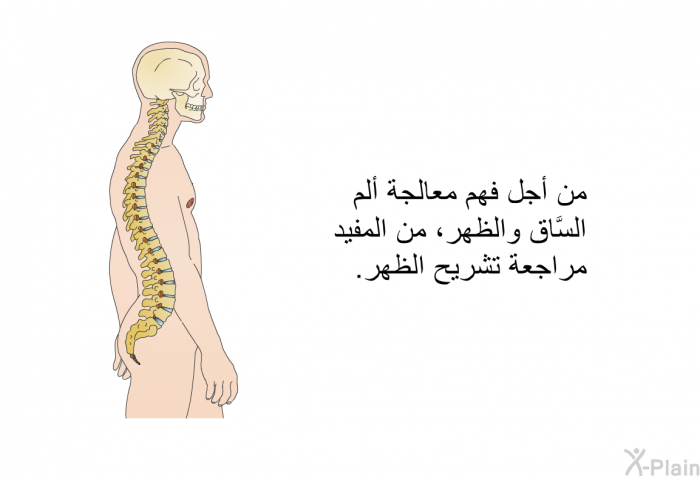 من أجل فهم معالجة ألم السَّاق والظهر، من المفيد مراجعة تشريح الظهر.