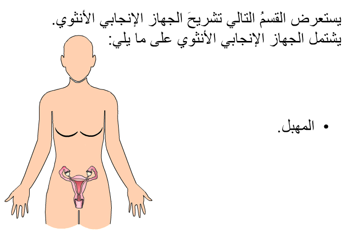 يستعرض القسمُ التالي تشريحَ الجهاز الإنجابي الأنثوي. يشتمل الجهاز الإنجابي الأنثوي على ما يلي:  المهبل.