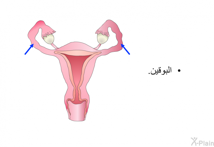 البوقين.