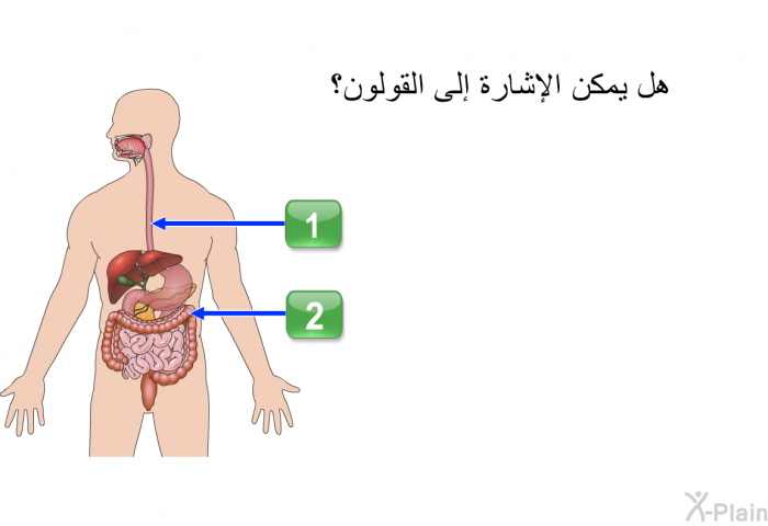 هل يمكن الإشارة إلى القولون؟