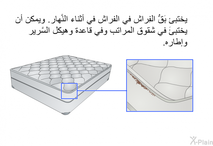 يختبئ بَقُّ الفِراش في الفراش في أثناء النَّهار. ويمكن أن يختبئَ في شقوق المراتب وفي قاعدة وهيكل السَّرير وإطاره.