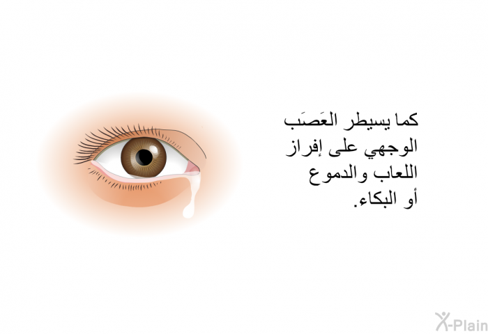 كما يسيطر العَصَب الوجهي على إفراز اللعاب والدموع أو البكاء.