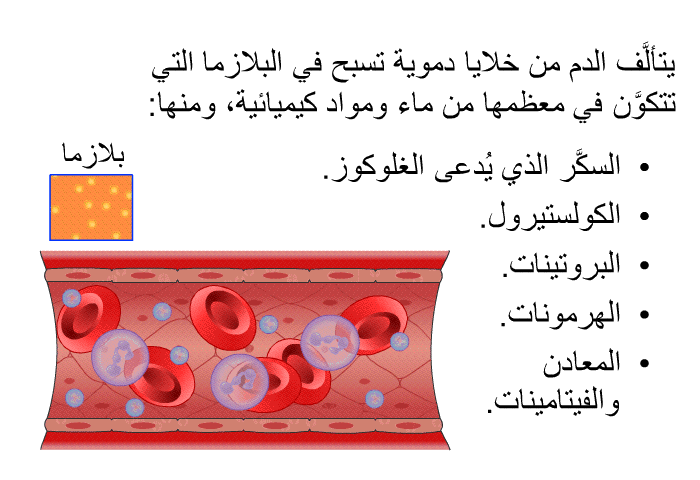 يتألَّف الدم من خلايا دموية تسبح في البلازما التي تتكوَّن في معظمها من ماء ومواد كيميائية، ومنها:   السكَّر الذي يُدعى الغلوكوز.  الكولستيرول.  البروتينات.  الهرمونات.  المعادن والفيتامينات.