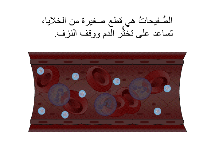 الصُّفيحاتُ هي قطع صغيرة من الخلايا، تساعد على تخثُّر الدم ووقف النزف.