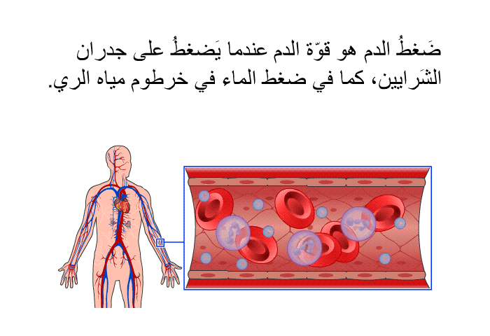 ضَغطُ الدم هو قوّة الدم عندما يَضغطُ على جدران الشَرايين، كما في ضغط الماء في خرطوم مياه الري.
