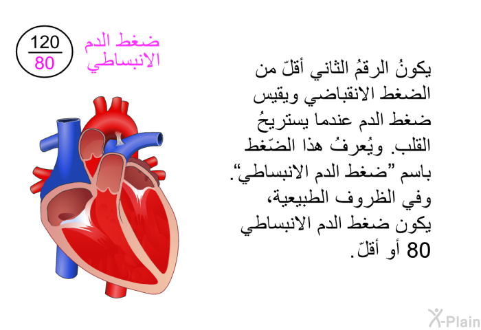 يكونُ الرقمُ الثاني أقلّ من الضغط الانقباضي ويقيس ضغط الدم عندما يستريحُ القلب. ويُعرفُ هذا الضّغط باسم "ضغط الدم الانبساطي". وفي الظروف الطبيعية، يكون ضغط الدم الانبساطي 80 أو أقلّ.