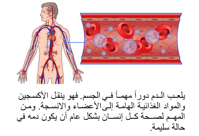 يلعب الدم دوراً مهماً في الجسم. فهو ينقل الأكسجين والمواد الغذائية الهامة إلى الأعضاء والانسجة. ومن المهم لصحة كل إنسان بشكل عام أن يكون دمه في حالة سليمة.
