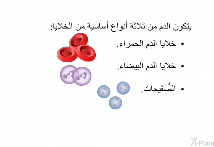 يتكون الدم من ثلاثة أنواع أساسية من الخلايا:  خلايا الدم الحمراء. خلايا الدم البيضاء. الصُّفَيحات.