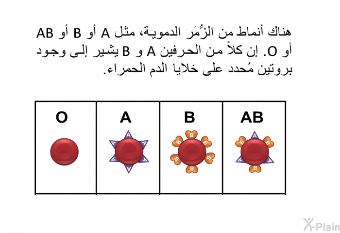 هناك أنماط من الزُّمَر الدموية، مثل A أو B أو AB أو O. إن كلاً من الحرفين A و B يشير إلى وجود بروتين مُحدد على خلايا الدم الحمراء.
