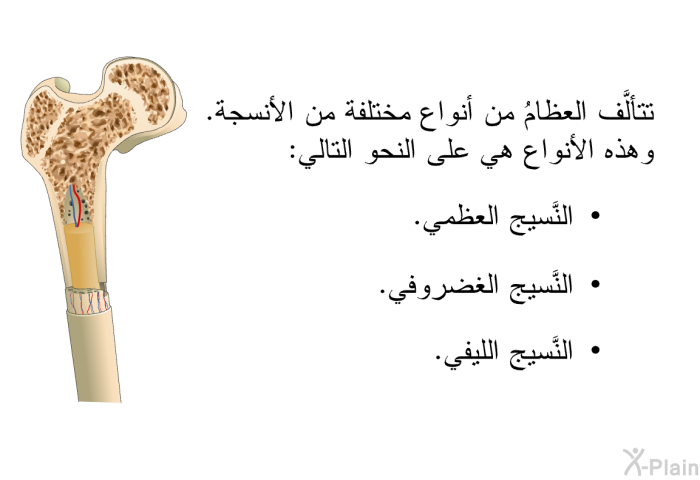 تتألَّف العظامُ من أنواع مختلفة من الأنسجة. وهذه الأنواع هي على النحو التالي:   النَّسيج العظمي.  النَّسيج الغضروفي. النَّسيج الليفي.