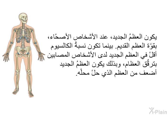 يكون العظمُ الجديد، عند الأشخاص الأصحَّاء، بقوَّة العظم القديم. بينما تكون نسبةُ الكالسيوم أقلَّ في العظم الجديد لدى الأشخاص المصابين بترقُّق العظام، وبذلك يكون العظمُ الجديد أضعف من العظم الذي حلَّ محلَّه.