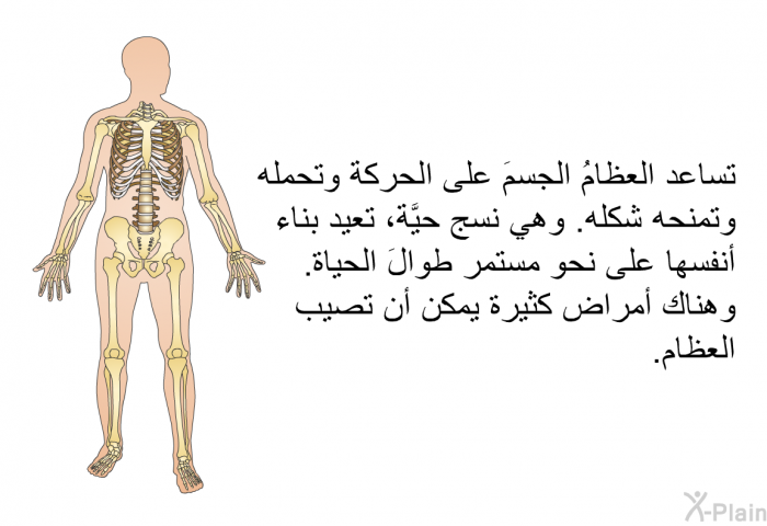 تساعد العظامُ الجسمَ على الحركة وتحمله وتمنحه شكله. وهي نسج حيَّة، تعيد بناء أنفسها على نحو مستمر طوالَ الحياة. وهناك أمراض كثيرة يمكن أن تصيب العظام.