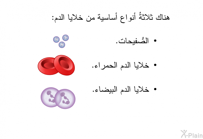 هناك ثلاثةُ أنواع أساسية من خلايا الدم:   الصُّفَيحات.  خلايا الدم الحمراء. خلايا الدم البيضاء.