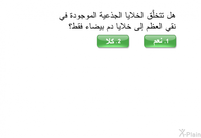 هل تتخلَّق الخلايا الجذعية الموجودة في نقي العظم إلى خلايا دم بيضاء فقط؟