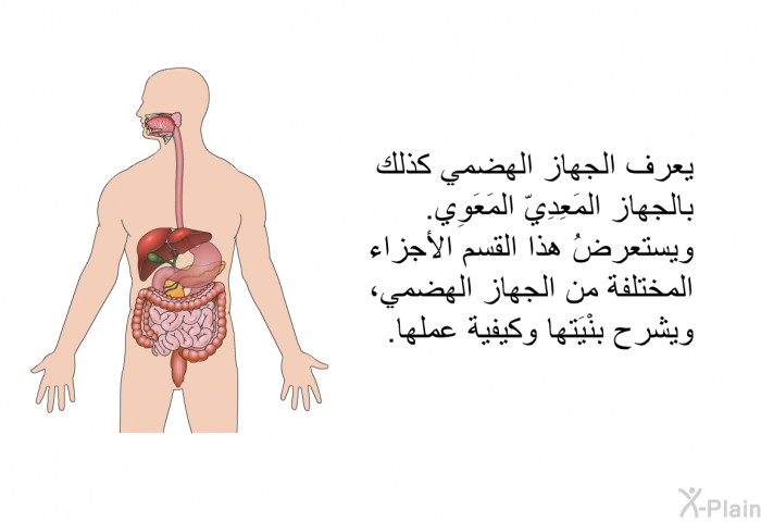 يعرف الجهاز الهضمي كذلك بالجهاز المَعِدِيّ المَعَوِي. ويستعرضُ هذا القسم الأجزاء المختلفة من الجهاز الهضمي، ويشرح بنْيَتها وكيفية عملها.