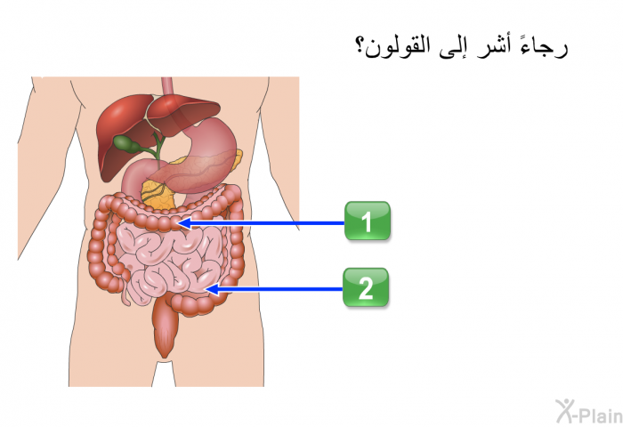 رجاءً أشر إلى القولون؟