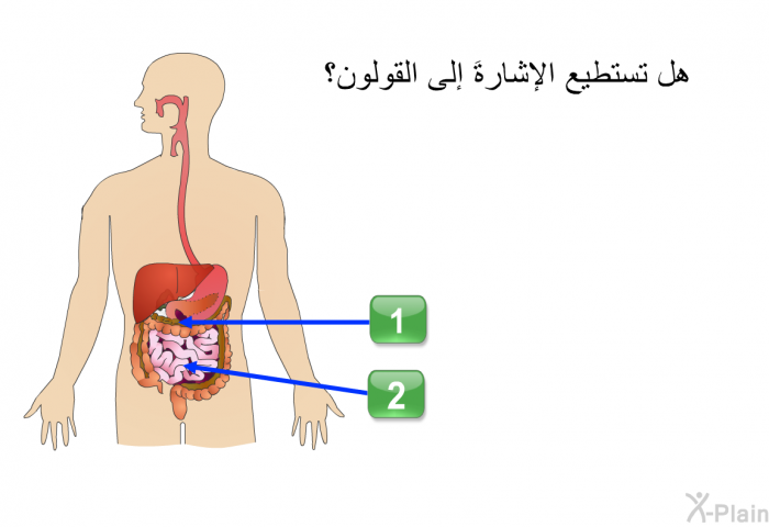 هل تستطيع الإشارةَ إلى القولون؟