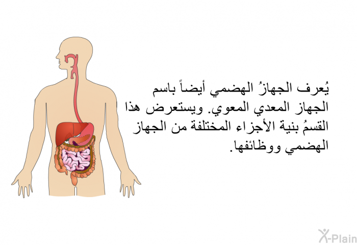 يُعرف الجهازُ الهضمي أيضاً باسم الجهاز المعدي المعوي. ويستعرض هذا القسمُ بنيةَ الأجزاء المختلفة من الجهاز الهضمي ووظائفها.