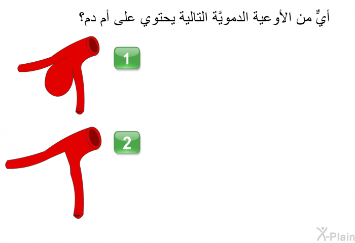 أيٌّ من الأوعية الدمويَّة التالية يحتوي على أم دم؟
