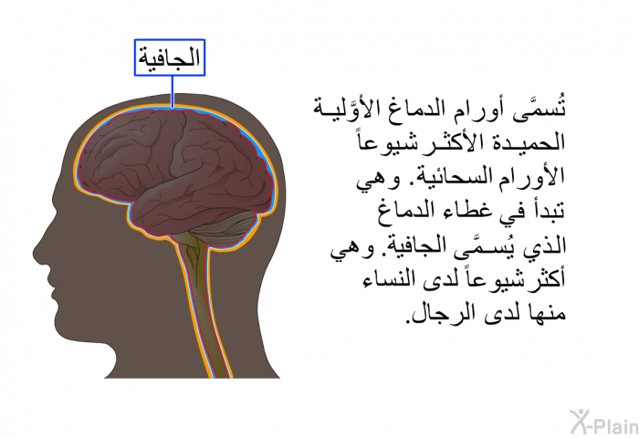 تُسمَّى أورام الدماغ الأوَّلية الحميدة الأكثر شيوعاً الأورام السحائية. وهي تبدأ في غطاء الدماغ الذي يُسمَّى الجافية. وهي أكثر شيوعاً لدى النساء منها لدى الرجال.
