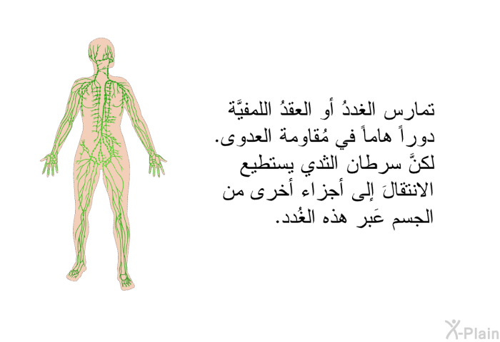 تمارس الغددُ أو العقدُ اللمفيَّة دوراً هاماً في مُقاومة العدوى. لكنَّ سرطان الثَّدي يستطيع الانتقالَ إلى أجزاء أخرى من الجسم عَبر هذه الغُدد.