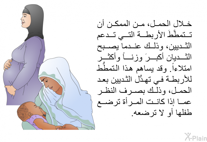 خلال الحمل، من الممكن أن تتمطَّطَ الأربطة التي تدعم الثديين، وذلك عندما يصبح الثديان أكبرَ وزناً وأكثر امتلاءاً. وقد يساهم هذا التمطُّط للأربطة في تهدُّل الثديين بعد الحمل، وذلك بصرف النظر عما إذا كانت المرأة ترضع طفلها أو لا ترضعه.