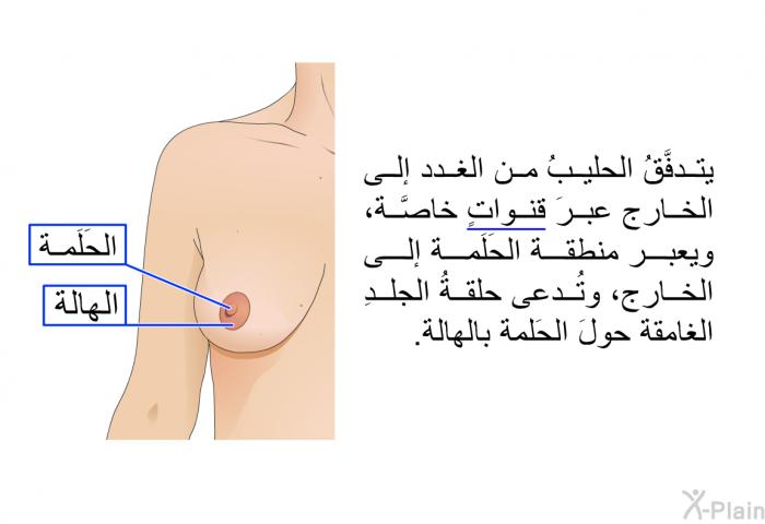 يتدفَّقُ الحليبُ من الغدد إلى الخارج عبرَ قنواتٍ خاصَّة، ويعبر منطقةَ الحَلَمة إلى الخارج، وتُدعى حلقةُ الجلدِ الغامقة حولَ الحَلمة بالهالة.