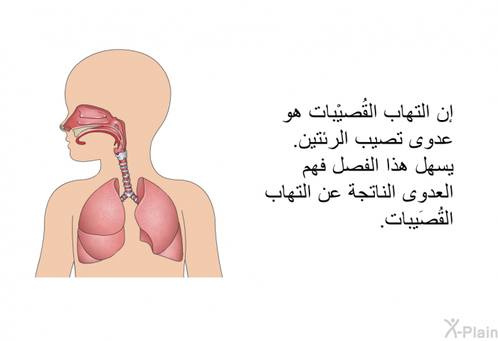 إن التهاب القُصيْبات هو عدوى تصيب الرئتين. يسهل هذا الفصل فهم العدوى الناتجة عن التهاب القُصَيبات.