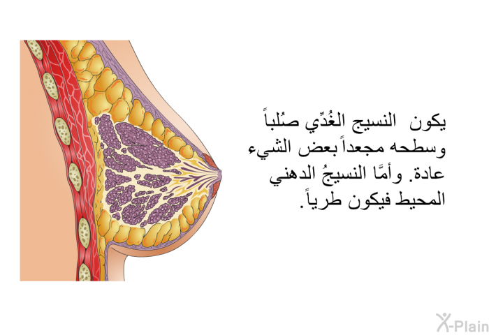 يكون النسيج الغُدِّي صُلباًو سطحه مجعداً بعض الشيء عادة. وأمَّا النسيجُ الدهني المحيط فيكون طرياً.